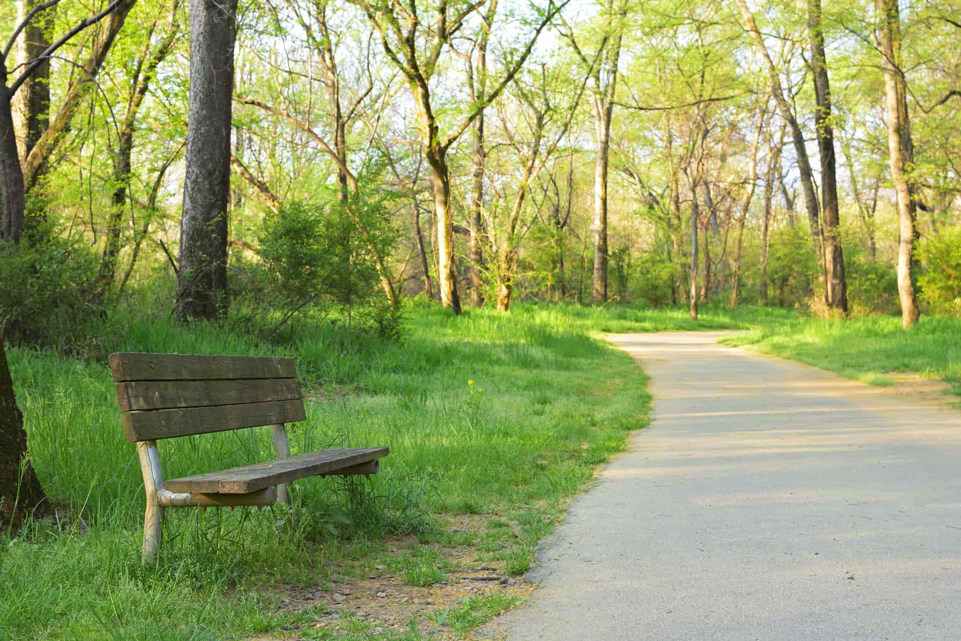 Quiet paved trail winding through spring woodland with a bench