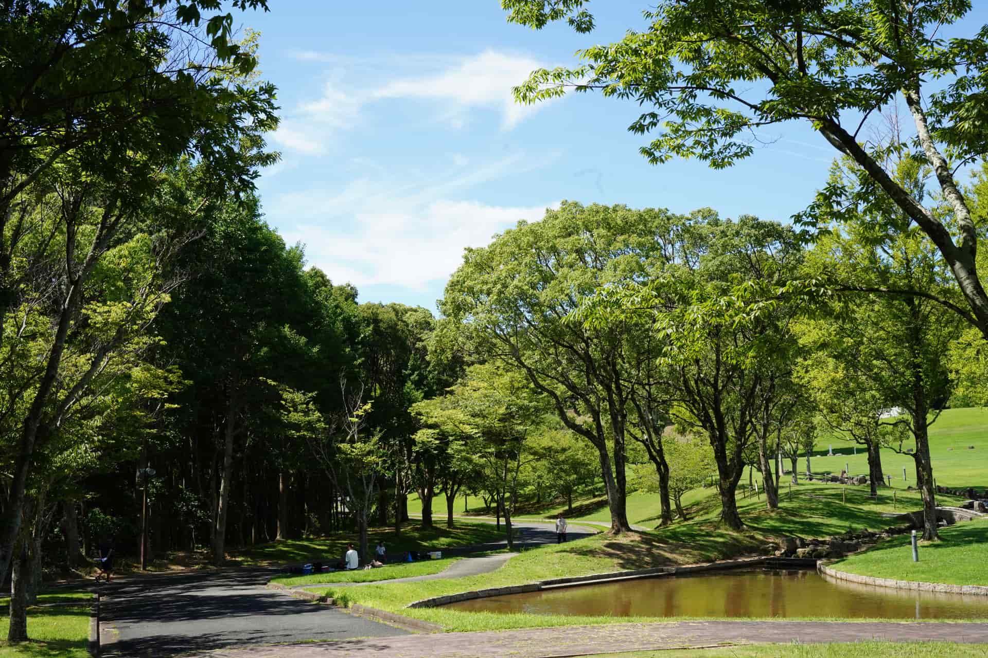 Paved walking path curving past a pond in a green park